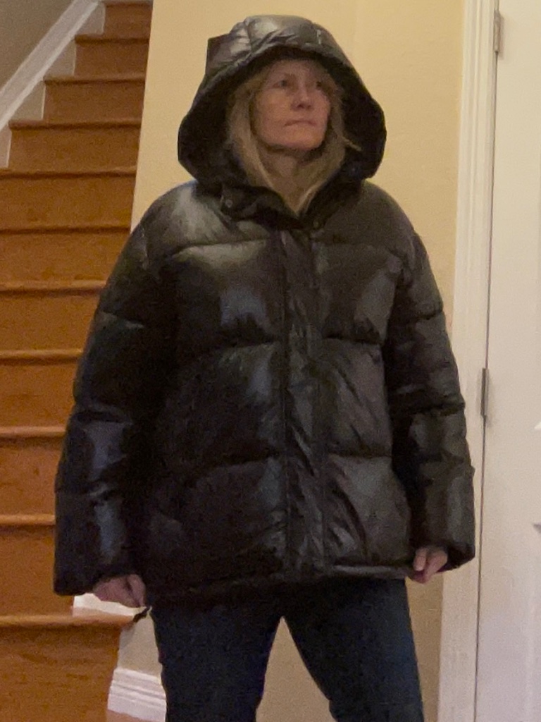 Nwt New Yorker's Fb Sister Oversized Shiny Puffer In Medium.